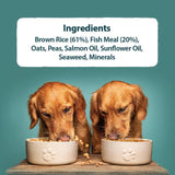 Burns Original Fish & Brown Rice Dry Dog Food 2kg - British product