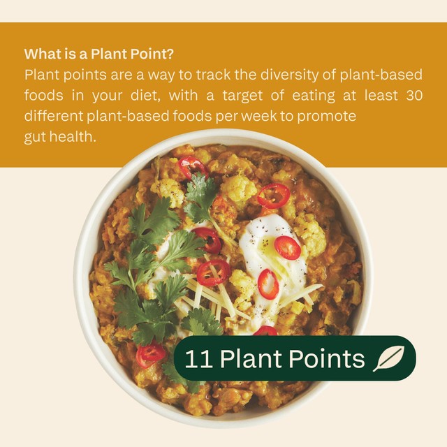 Plants Cauliflower & Lentil Dhal frozen ready meal 300g - British product