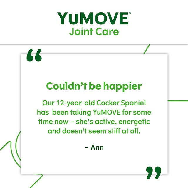 Lintbells YuMove Senior dog joint supplement (British brand)