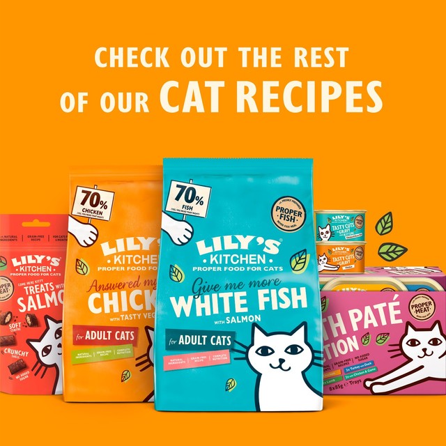 Lily's Kitchen Chicken & Game Pate cat food 85g, UK version