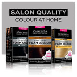 John Frieda Precision Foam Colour Light Natural Brown 6N hair colour kit, UK version