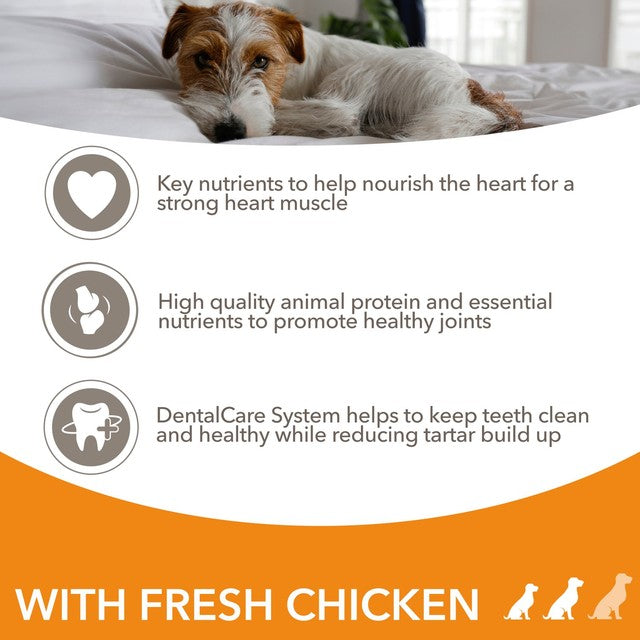 Iams senior dry dog food for small/medium breeds with chicken 2kg, UK version