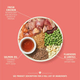Lily's Kitchen chicken and salmon puppy dry dog food 2.5kg, UK version