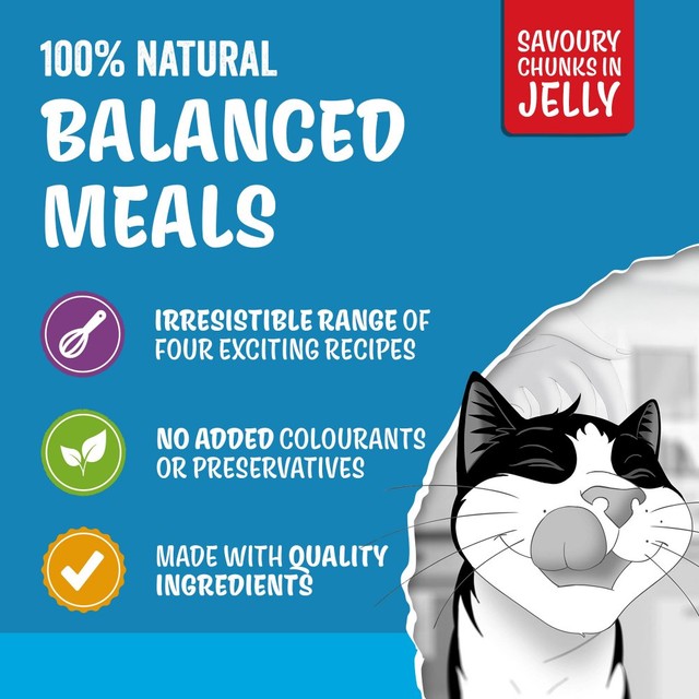 Felix senior cat food fish selection jelly 12x85g - British product