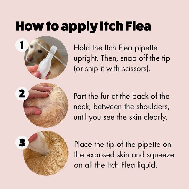Itch Flea Spot-On Treatment for Small Dogs 2-10kg, UK version