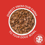 Clydach Farm grain free duck dog food 12kg - British product