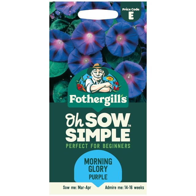 Mr Fothergills Seeds Purple Morning Glory flower seeds 30 seeds, imported from the UK