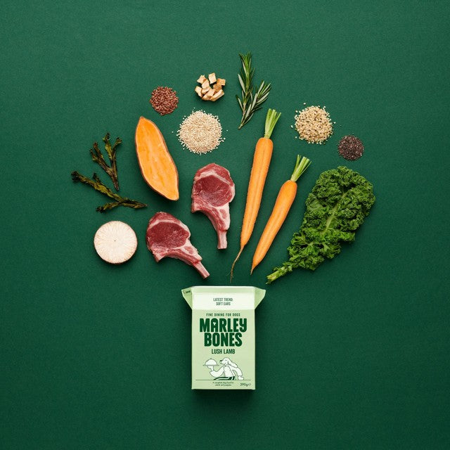 Marleybones wet dog food Lamb & Superfoods 390g, imported from the UK