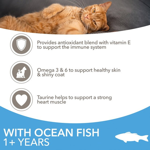 IAMS Ocean Fish cat food 800g, UK version