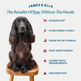 James & Ella kibble and freeze-dried raw beef dog food 1.5kg, UK version