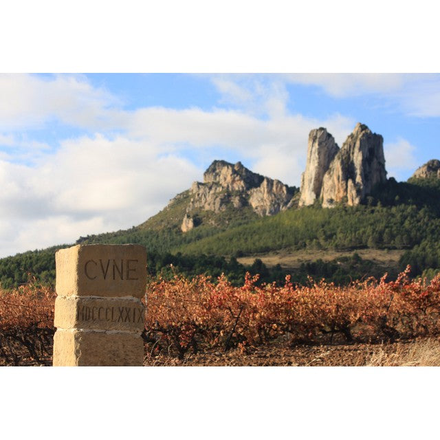 CVNE Spanish white wine Barrel Fermented Blanco 75cl - British product