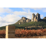 CVNE Spanish white wine Barrel Fermented Blanco 75cl - British product