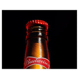 Budweiser lager beer cans 10 x 440ml - British product