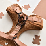 Cocopup Paddington Teddy dog harness medium - British product