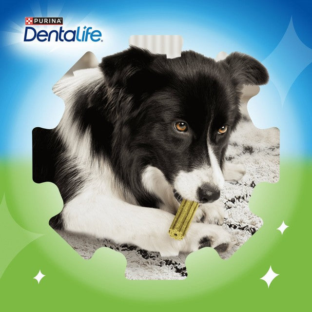 Dentalife large chicken dog dental chews - British product