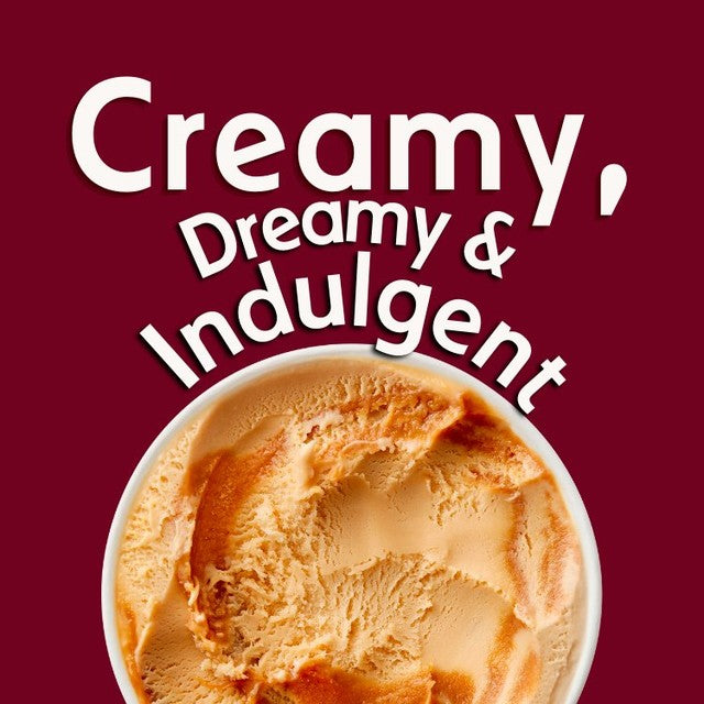Haagen-Dazs Dulce de Leche ice cream 460ml, UK version