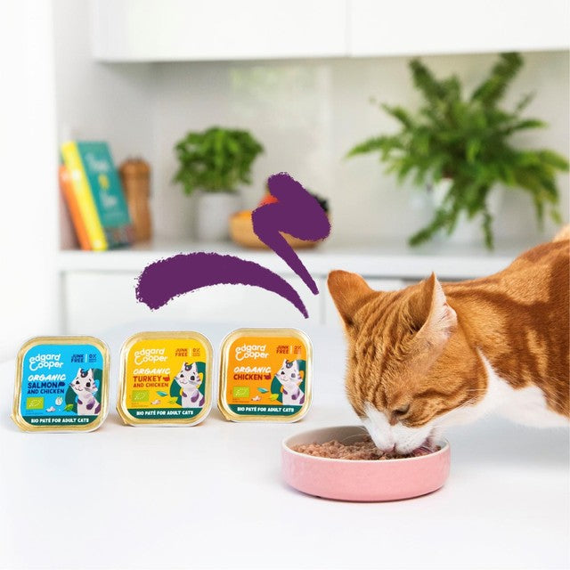 Edgard & Cooper turkey cat pate 85g - British product