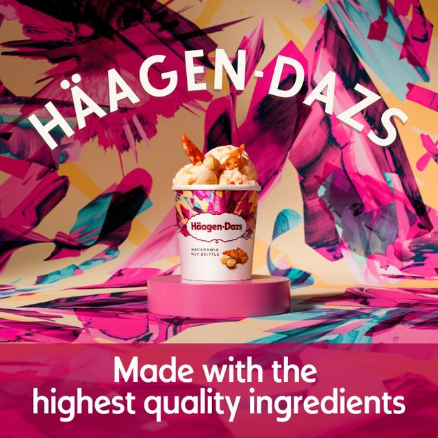 Häagen-Dazs macadamia nut brittle ice cream 460ml, UK version