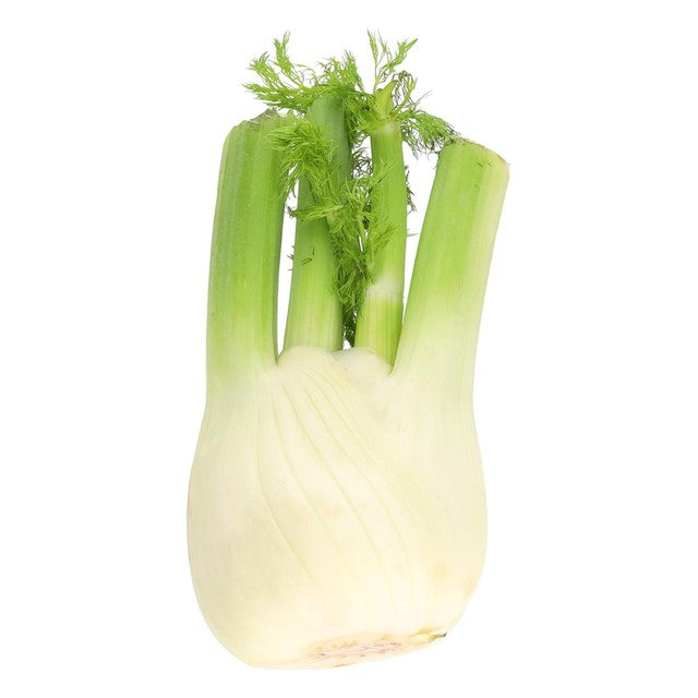 M&S fennel vegetable, imported from the UK