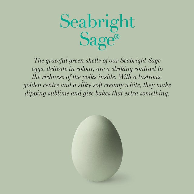 Clarence Court Seabright Sage Eggs 6 pack - British product