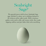 Clarence Court Seabright Sage Eggs 6 pack - British product