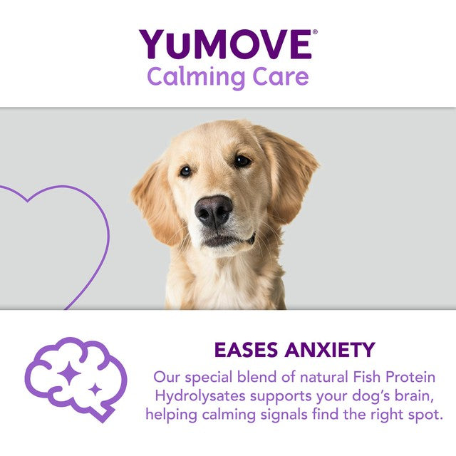 Lintbells dog stress and anxiety calming supplement (British brand)
