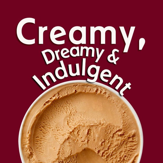 Haagen-Dazs coffee ice cream 460ml, UK version