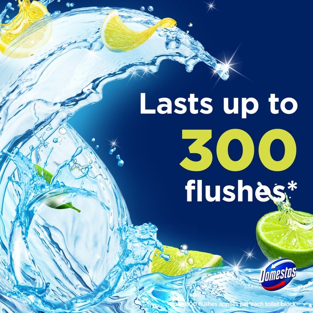 Domestos lime toilet rim block duo pack - British product