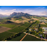 Babylonstoren Mourvèdre Rosé Wine 75cl - British product