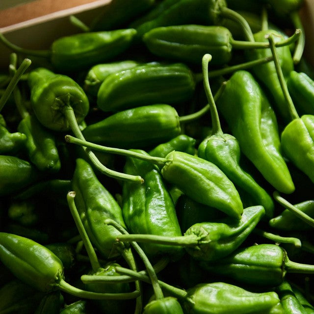 Natoora Padron peppers 130g, imported from the UK