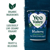 Yeo Valley Blueberry Yoghurt with Lime 450g (British brand)