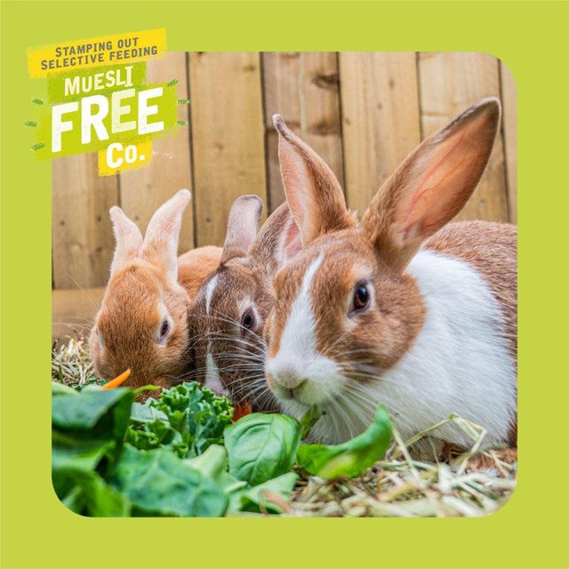 Burgess Excel adult rabbit food with mint 1.5kg - British product