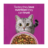 Whiskas 1+ salmon adult dry cat food 1.9kg (British brand)