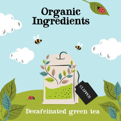 Infusettes de thé vert pur décaféiné bio Clipper, paquet de 40