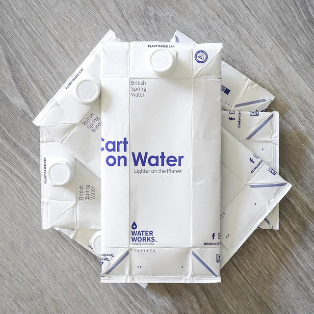 Carton Water alkaline spring water in paper carton 12 x 1L - British product