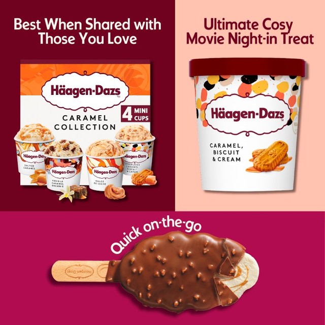 Häagen-Dazs caramel biscuit and cream ice cream 460ml, UK version