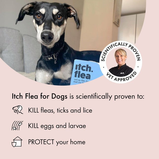Itch flea and tick spot-on treatment for medium dogs (10-20kg), UK version