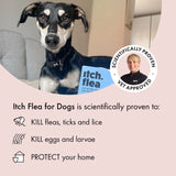 Itch flea and tick spot-on treatment for medium dogs (10-20kg), UK version