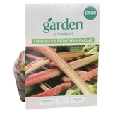 Rhubarb Red Champagne