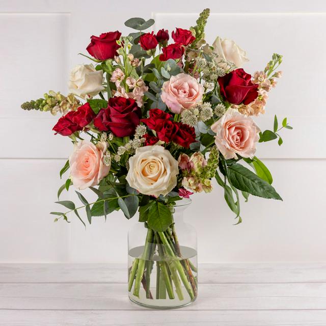 Valentine's Day Rose Collection