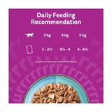 Whiskas 1+ Duo Ocean Delights Adult Wet Cat Food Pouches in Jelly