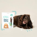 Edgard Cooper strawberry mint medium dog dental sticks - British product