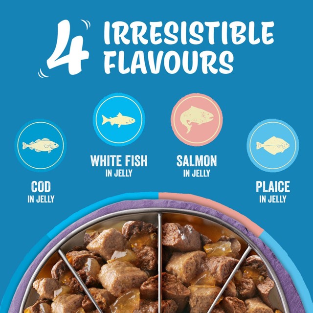 Felix fish selection in jelly wet cat food 80x85g - British product
