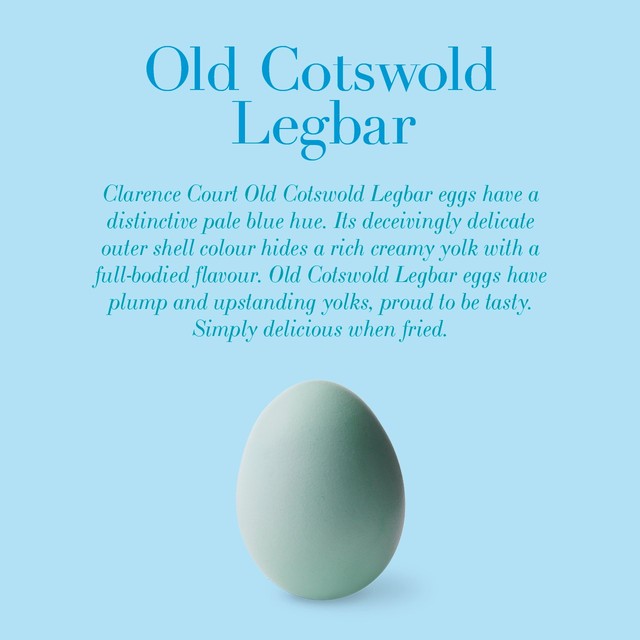 Clarence Court Cotswold Legbar free range eggs 6 pack - British product