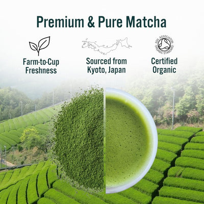 Green Origins Poudre de Thé Vert Matcha Cérémonial Japonais Bio 30g