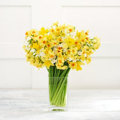 Sainsburys Daffodil Bouquet