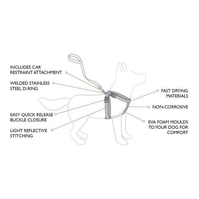 EzyDog Blue Dog Harness Large - British product