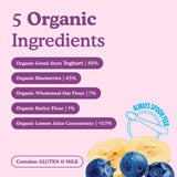 Little Freddie blueberry banana yoghurt baby food 100g, UK version