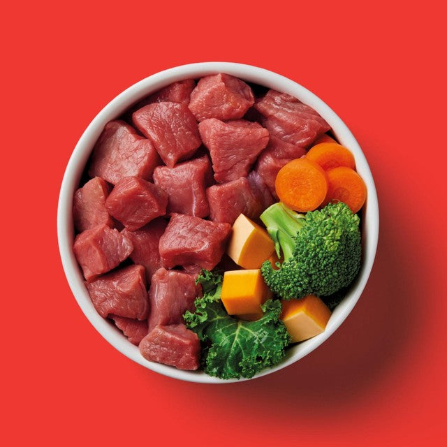 Nutriment Beef Formula Raw Dog Food 500g, imported from the UK