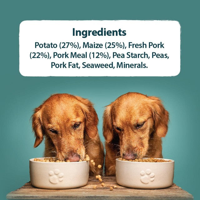 Burns Sensitive Adult Pork & Potato Dry Dog Food 2kg - British product